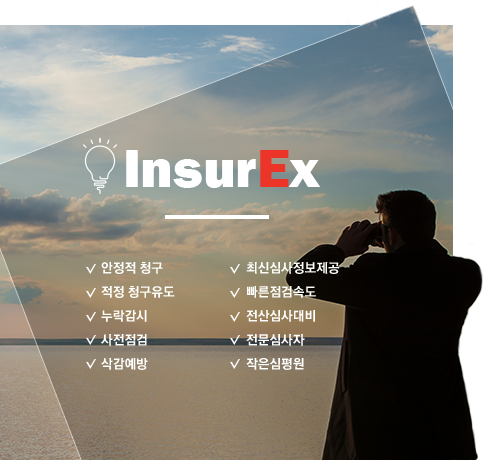 InsurEx - 안정적 청구, 적정 청구유도, 누락감시, 사전점검, 삭감예방, 최신심사정보제공, 빠른점검속도, 전산심사대비, 전문심사자, 작은심평원